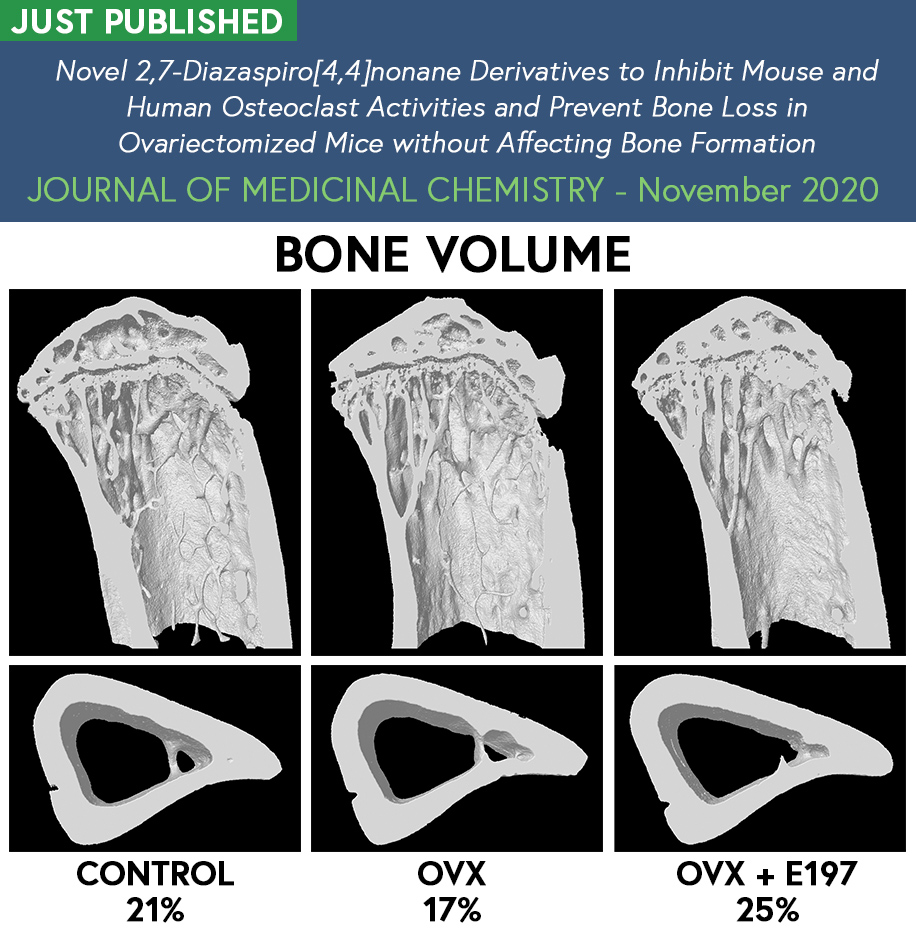 You are currently viewing NEW LEAD MOLECULE FOR NOVEL ANTI-OSTEOPOROTIC DRUG PUBLISHED